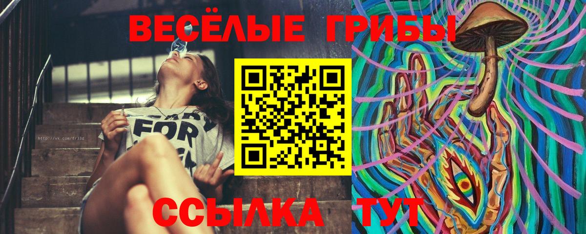 Галлюциногенные грибы Psilocybine cubensis  Вход с VPN  Галлюциногенные грибы Psilocybine cubensis  Моршанск 